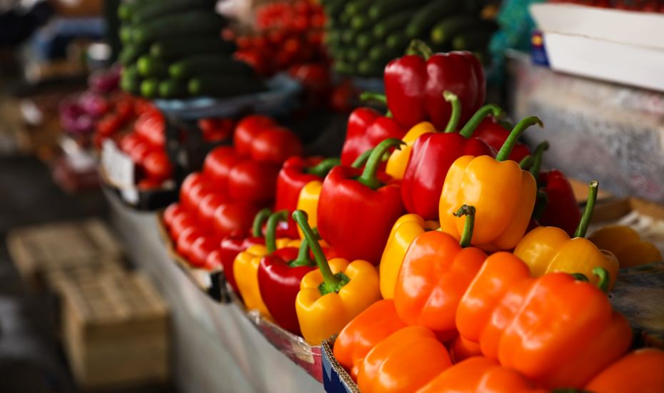 Finding Wholesale Food Supplies for a Restaurant Terra Madre